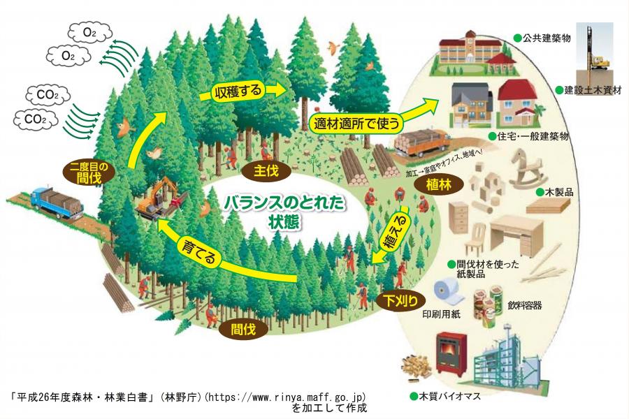 森林の循環を表した画像