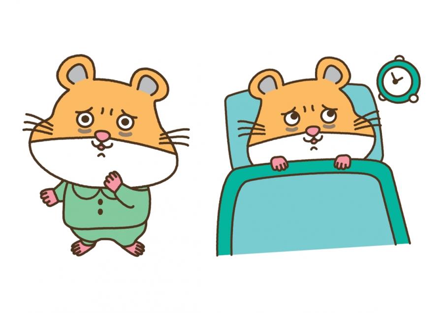 若者（思春期及び青年期に該当する、概ね10代～20代の者）向け