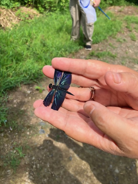 いきもの探検隊1