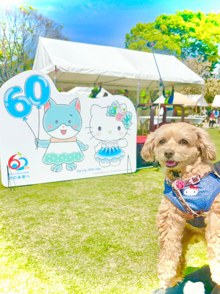 写真投稿企画「ハローキティ×さもにゃん」フォトポスト＆60周年