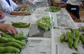 新聞紙の上に置かれたそら豆