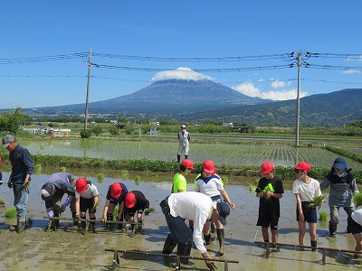 田植え1