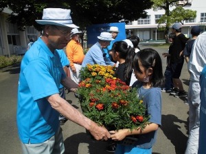花壇の様子1