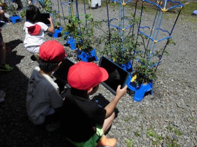 6月の学習の様子2