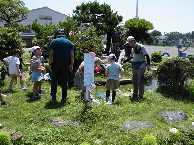 算数の学習2