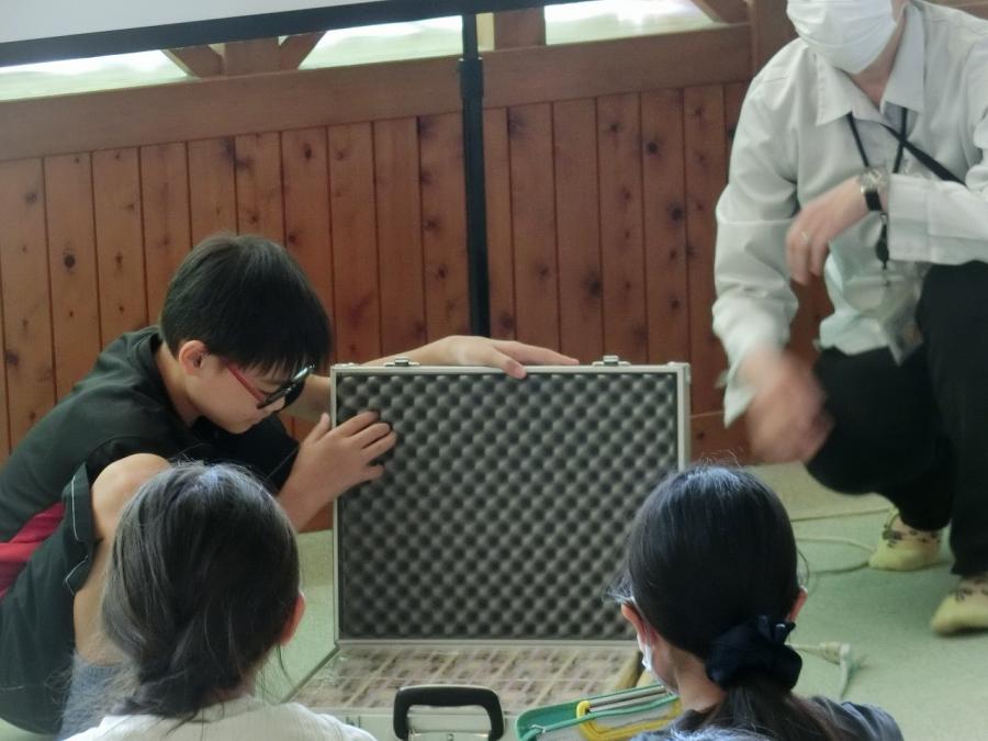 そぜい3