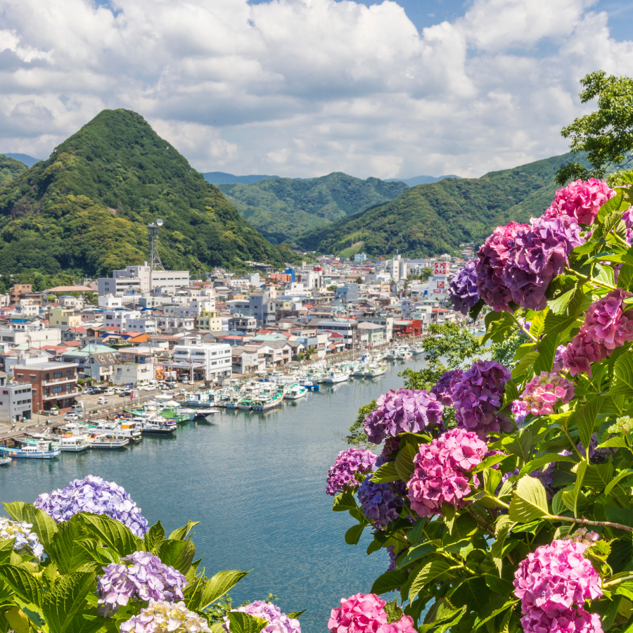 みなとオアシス下田_静岡県下田市_下田港