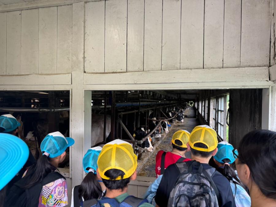 牛舎見学