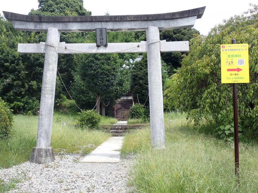 富士見台コースの愛鷹神社