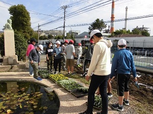 花壇づくり1