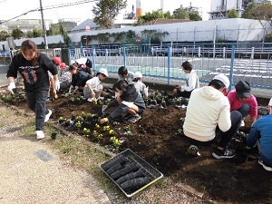 花壇づくり4