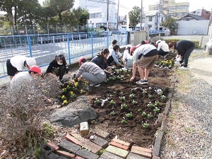 花壇づくり5