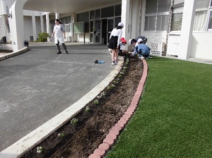 花壇づくり6