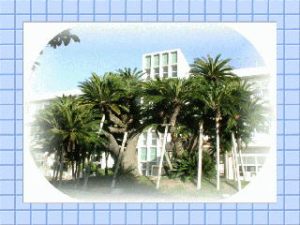 田子浦小学校校舎