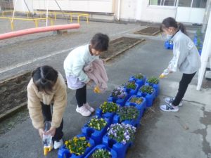 1月12日　1年生「花の世話」2