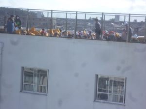 1月18日「地震津波避難訓練」3