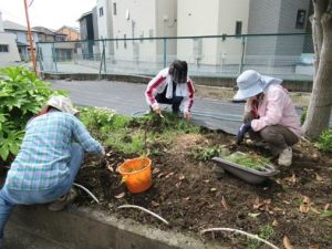 12月13日「ボランティア環境整備活動」1
