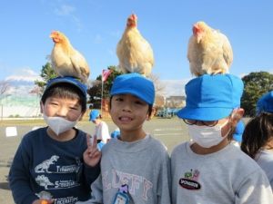 12月14日　1年生　生活「なかよくなろうね　小さなともだち1　～1日どうぶつ村～」2