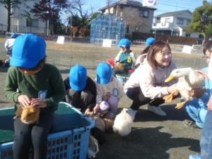 12月14日　1年生　生活「なかよくなろうね　小さなともだち2　～1日どうぶつ村～」3
