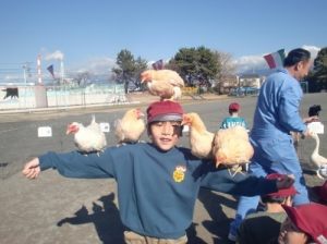 12月14日　1年生　生活「なかよくなろうね　小さなともだち3　～1日どうぶつ村～」1