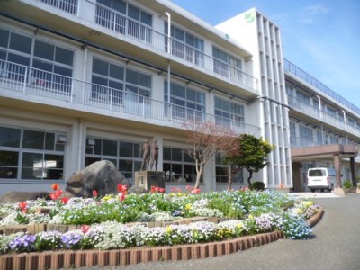 学校前の花壇