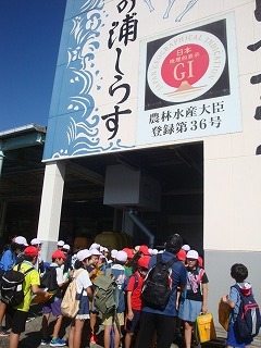 9月26日　5年生田子の浦港見学1