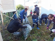 （写真）百葉箱周辺の草取り