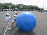 2年生による大玉転がし2