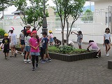 花壇の苗植え1