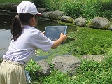 虫探しの授業2