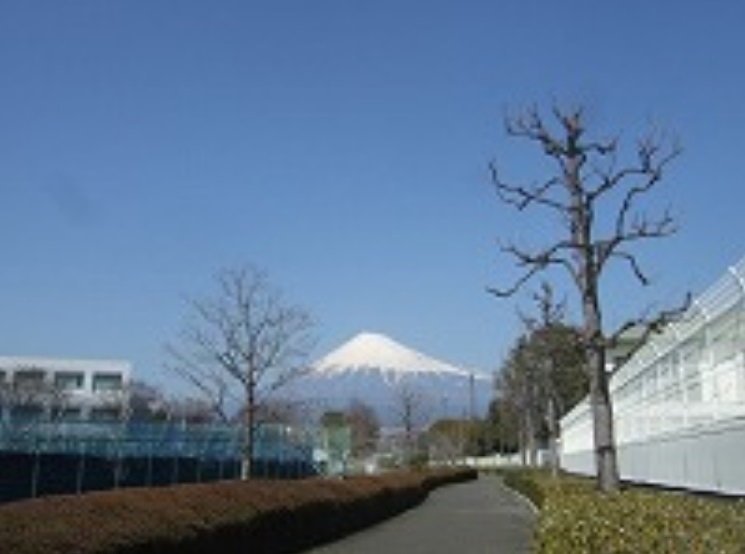 遊歩道