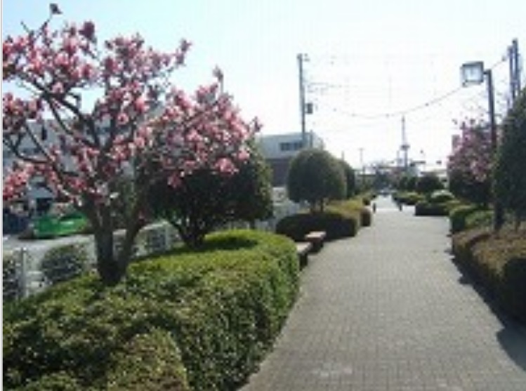 正面入り口前の遊歩道