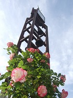 時計台とバラ1