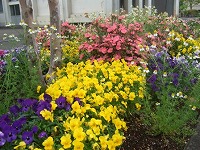 花壇1