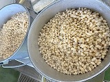 （写真）2024年12月18日 いんげん豆を調理する様子