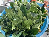 （写真）2025年2月4日の給食1