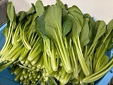 （写真）2023年11月13日の野菜