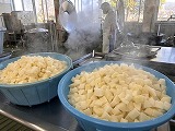 （写真）2024年1月24日 下処理したイカ