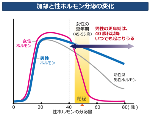 （イメージ図）加齢と性ホルモン分泌の変化について