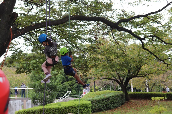ツリークライミング