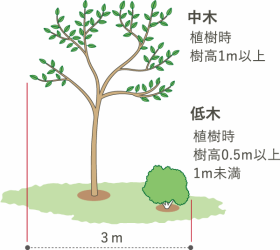 画像図4中木以上1本及び低木1本以上