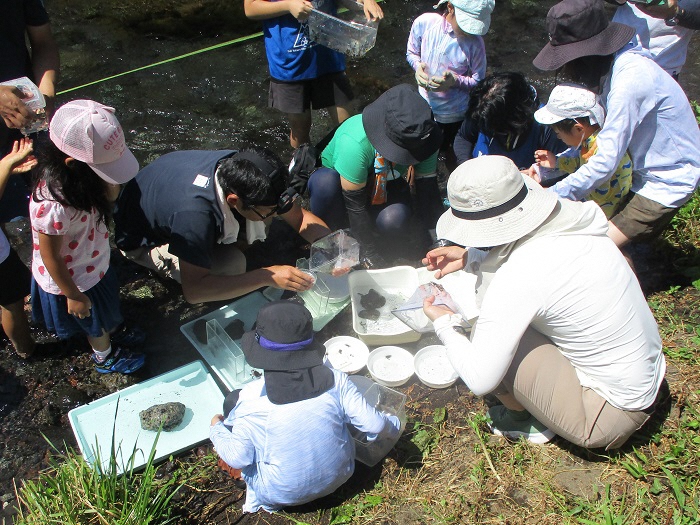 水生生物を同定する様子2
