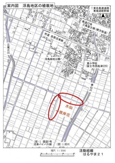 浮島地区の植栽地