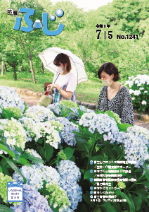 （写真説明）6月9日　アジサイ（岩本山公園）
