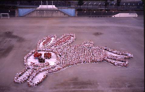 （写真）広見小学校ウサギの人絵