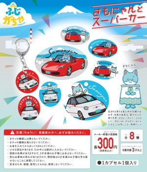 ふじがちゃポップ14