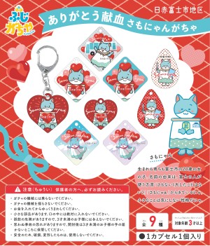 ふじがちゃポップ16