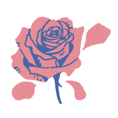 バラ