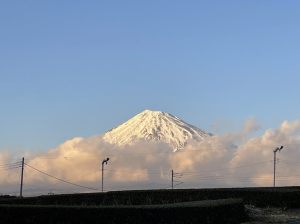 市内で撮影された写真6