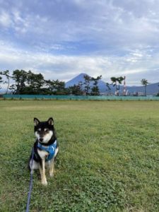 市内で撮影された写真13